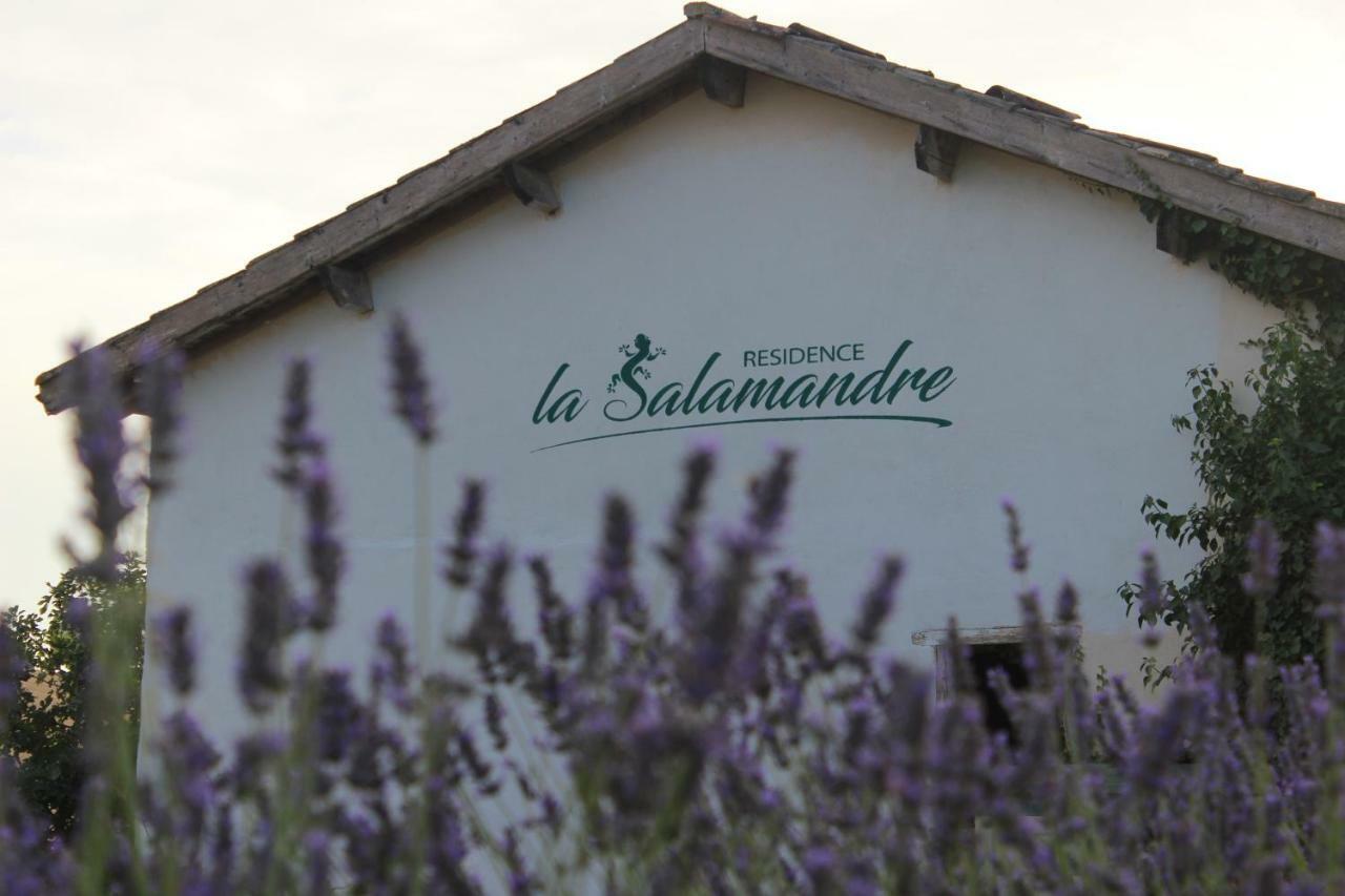 Residence La Salamandre Kamers Rabastens Ngoại thất bức ảnh